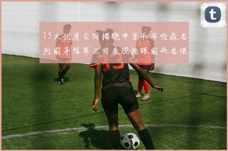15大优质合同揭晓申京和布伦森名列前茅绿军三将表现抢眼前两名堪称传奇